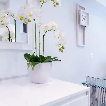 Edificio Astoria * 베니돔